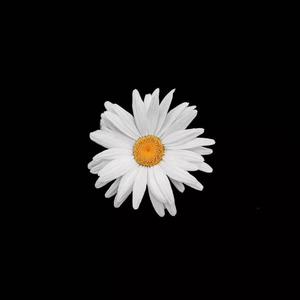 女骑士之堕落篇冷狐版攻略
