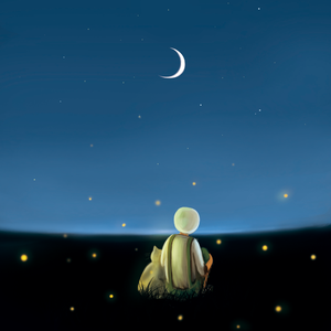 女骑士之堕落篇冷狐版攻略
